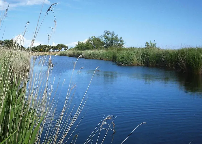 Marina Corsa, Ghisonaccia, With Balcony Or Small Garden Appartement Ghisonaccia