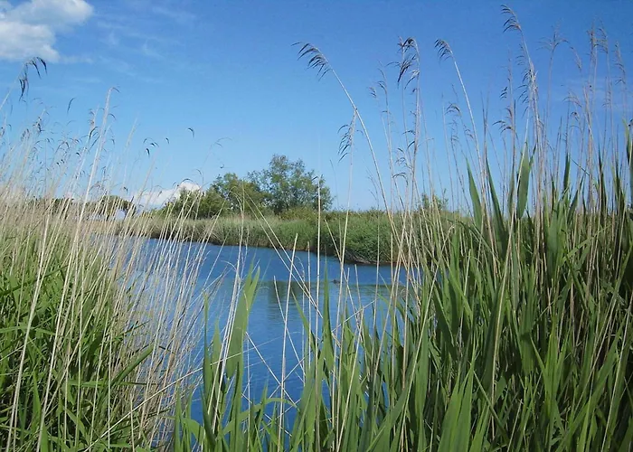 Marina Corsa, Ghisonaccia, With Balcony Or Small Garden * Ghisonaccia